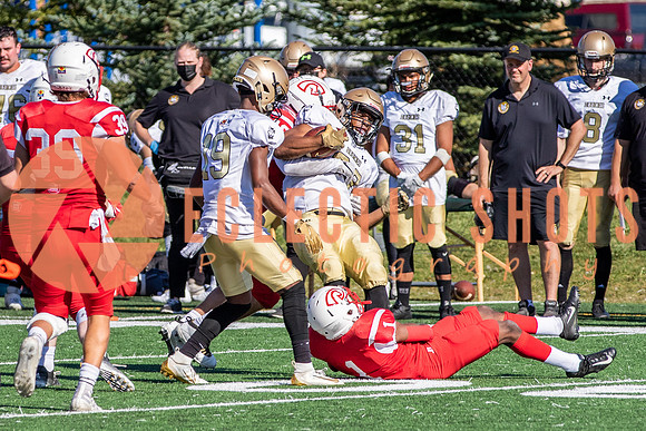 CalgaryColts-1168