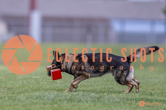 2025-K9Force-MayExams-6622