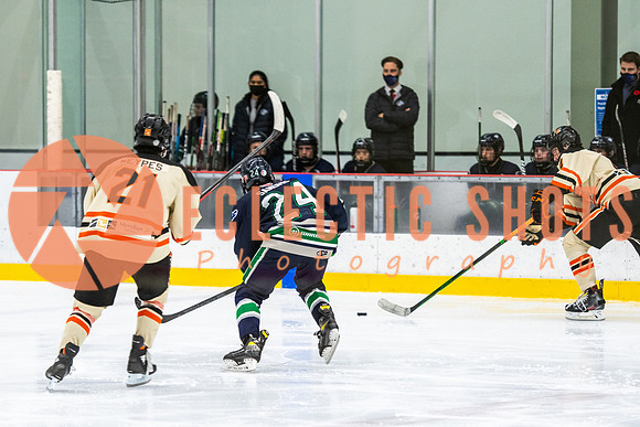 RMC2021-11-12-LloydBobcats-FVT-Birds-6116