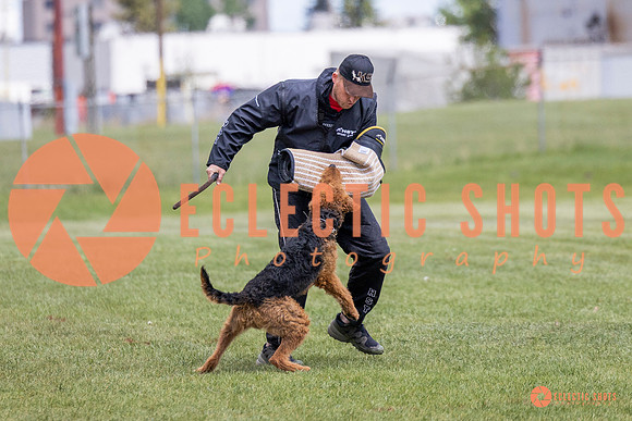 2025-K9Force-MayExams-7858