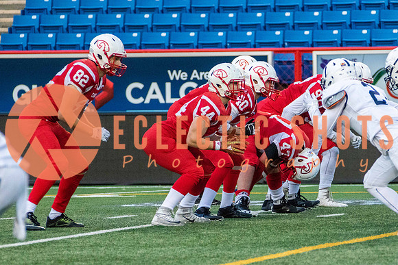 CalgaryColts2018-1421