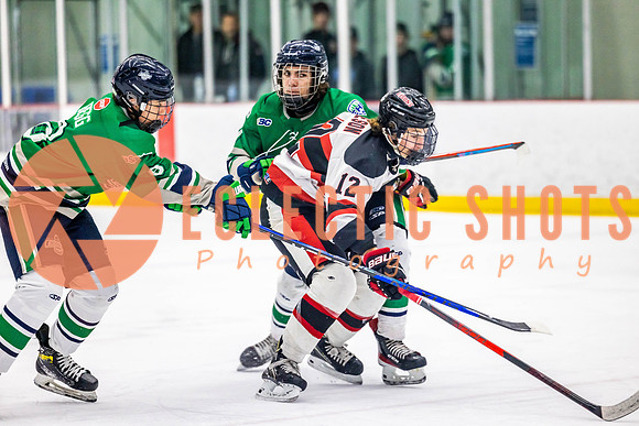2022.11.11CalBisons-FVTBirds-3954