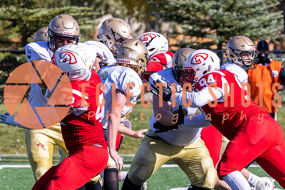 CalgaryColts-9658