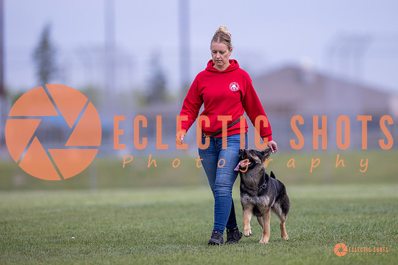 2025-K9Force-MayExams-6289