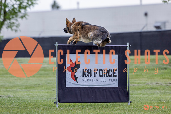 2025-K9Force-MayExams-5467
