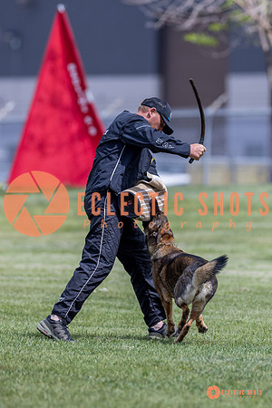 2025-K9Force-MayExams-7377