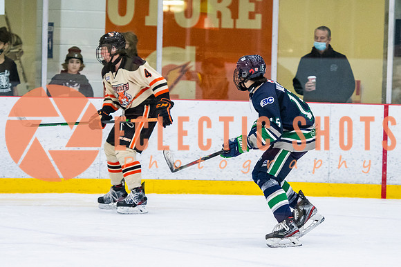 RMC2021-11-12-LloydBobcats-FVT-Birds-6141