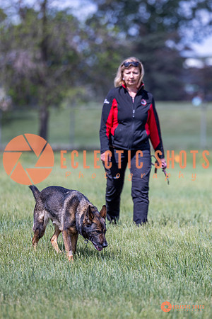 2025-K9Force-MayExams-Kaia-7489