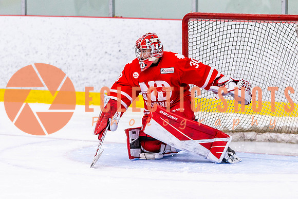 2022.11.11VWGiants-NDHounds-4255