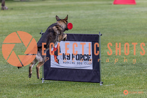 2025-K9Force-MayExams-5888
