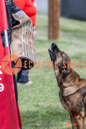 2025-K9Force-MayExams-6341