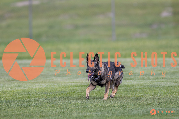 2025-K9Force-MayExams-6676
