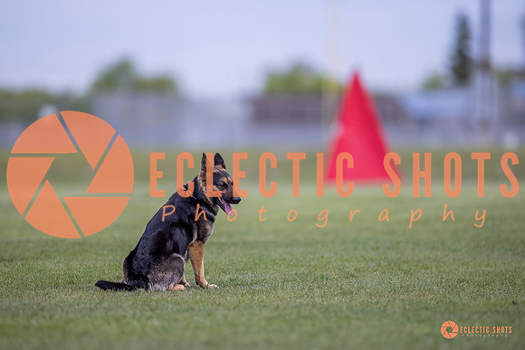 2025-K9Force-MayExams-6300