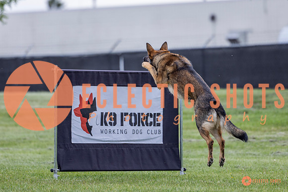 2025-K9Force-MayExams-5463