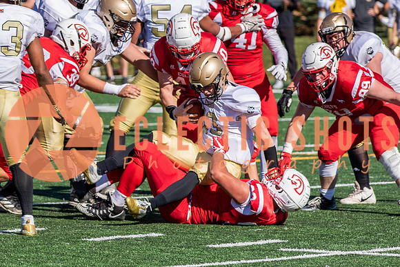 CalgaryColts-1131