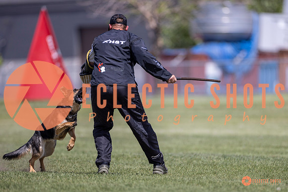 2025-K9Force-MayExams-8086