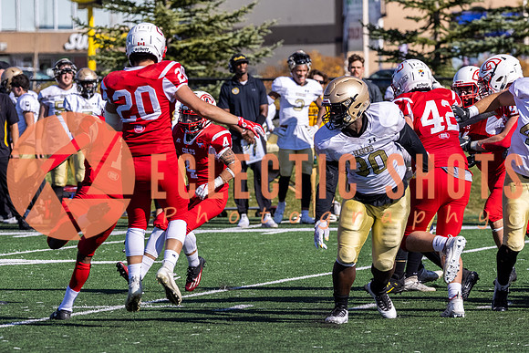 CalgaryColts-9674