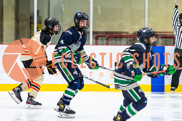 RMC2021-11-12-LloydBobcats-FVT-Birds-6024