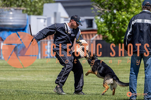 2025-K9Force-MayExams-7288-2