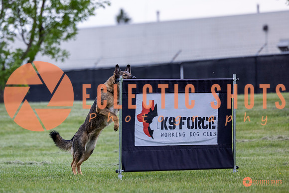 2025-K9Force-MayExams-5422
