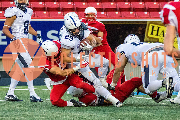 CalgaryColts2018-1488