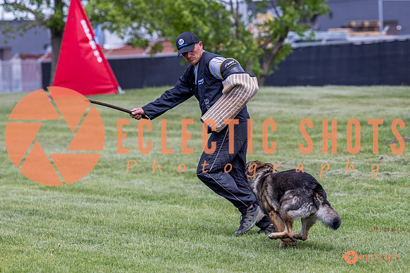 2025-K9Force-MayExams-6935