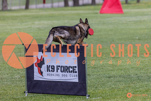 2025-K9Force-MayExams-5893
