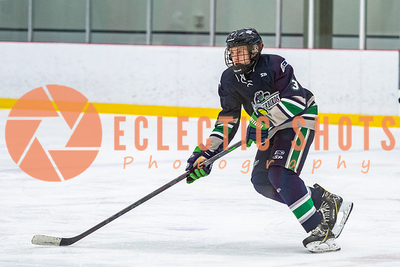 RMC2021-11-12-LloydBobcats-FVT-Birds-6146
