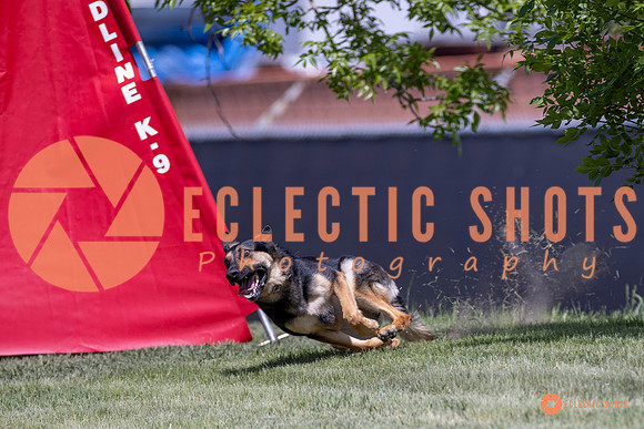2025-K9Force-MayExams-8013