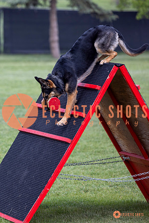 2025-K9Force-MayExams-6252