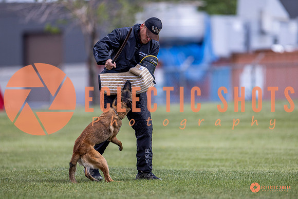 2025-K9Force-MayExams-8564