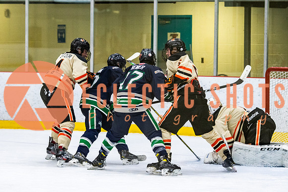 RMC2021-11-12-LloydBobcats-FVT-Birds-6005