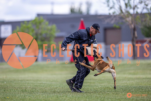 2025-K9Force-MayExams-8546