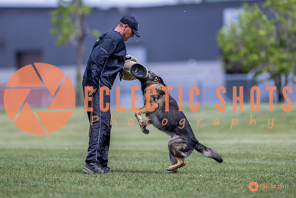2025-K9Force-MayExams-7794