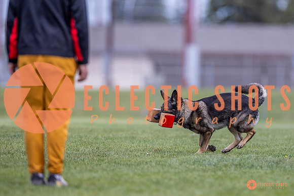 2025-K9Force-MayExams-6626