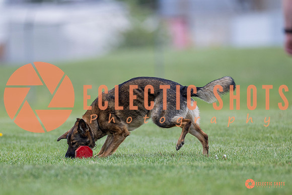 2025-K9Force-MayExams-6118