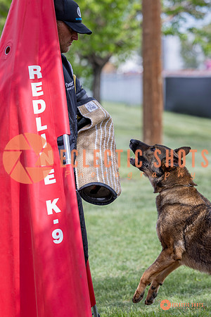 2025-K9Force-MayExams-6354