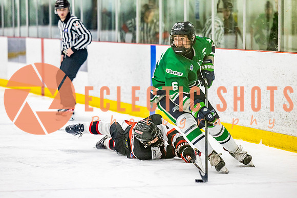 2022.11.11CalBisons-FVTBirds-4087