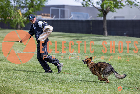 2025-K9Force-MayExams-6406