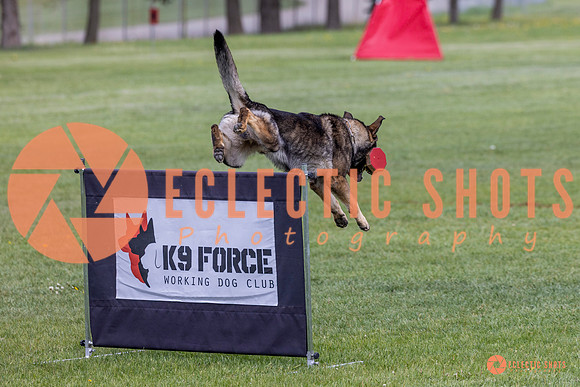 2025-K9Force-MayExams-5895