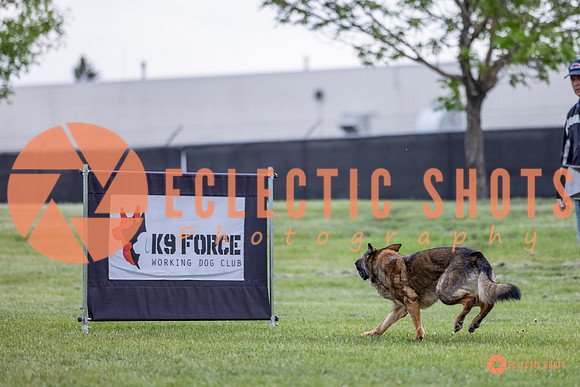 2025-K9Force-MayExams-5458