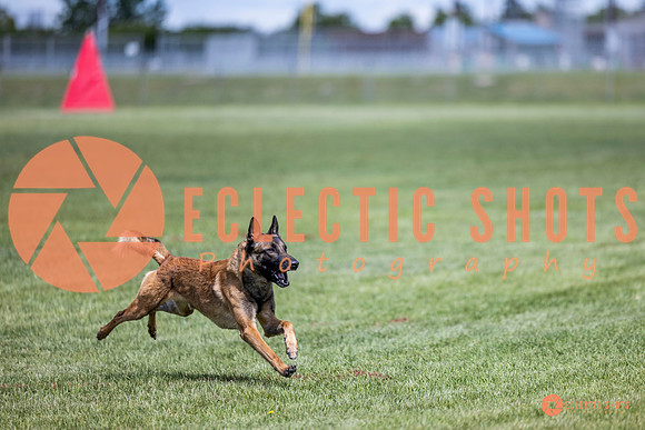 2025-K9Force-MayExams-7659