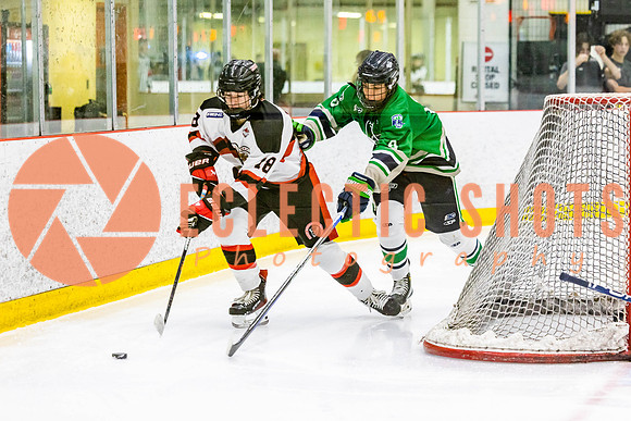 2022.11.11CalBisons-FVTBirds-4206