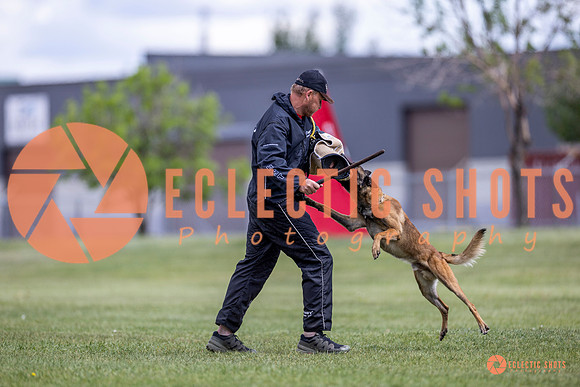 2025-K9Force-MayExams-8539