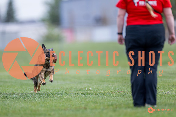 2025-K9Force-MayExams-6132