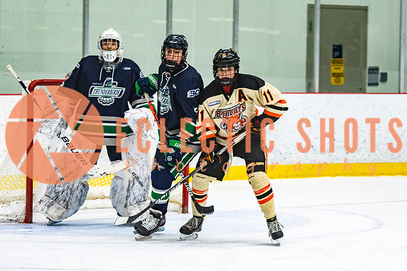 RMC2021-11-12-LloydBobcats-FVT-Birds-5972