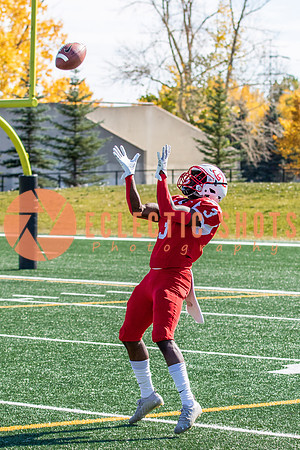 CalgaryColts-0214
