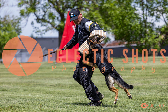 2025-K9Force-MayExams-7229