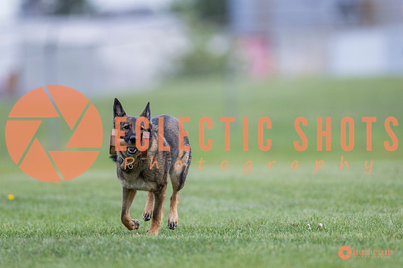 2025-K9Force-MayExams-6127