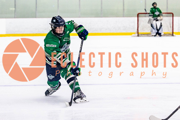 2022.11.12ShParkFlyers-FVTBirds-7001